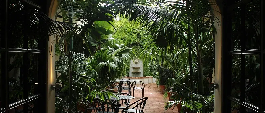 Holiday Apartments In Dubai Palm Jumeirah | Dubai Vacation Rentals Palm Jumeirah | Airbnb Palm Jumeirah